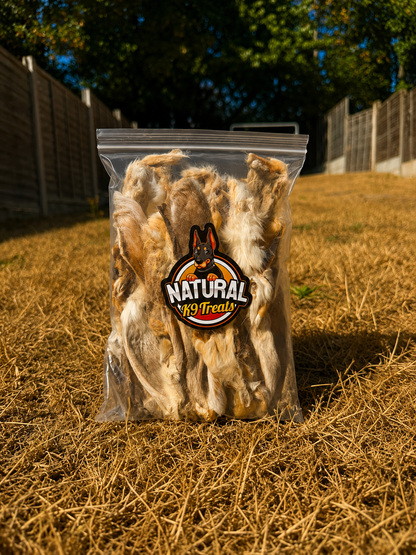 Rabbit Ears